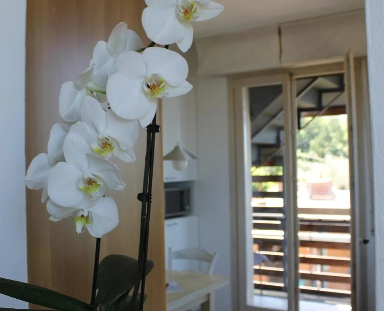The View Apartment Torri Del Benaco 0*,  Italy